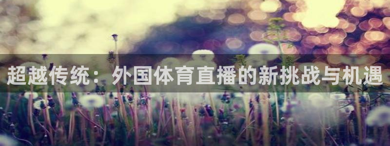 超越传统：外国体育直播的新挑战与机遇