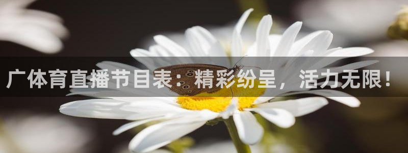 广体育直播节目表：精彩纷呈，活力无限！