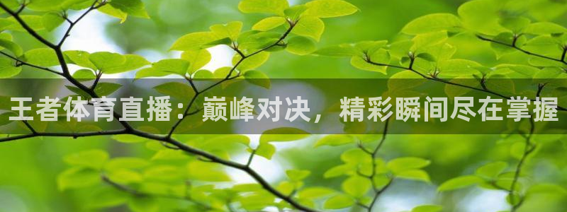 王者体育直播：巅峰对决，精彩瞬间尽在掌握