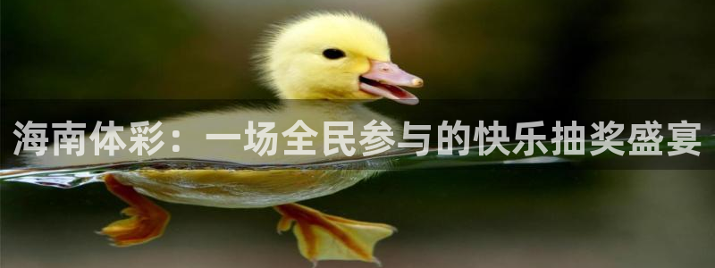 海南体彩：一场全民参与的快乐抽奖盛宴