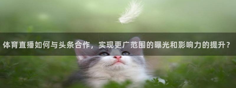 体育直播如何与头条合作，实现更广范围的曝光和影响力的提升？