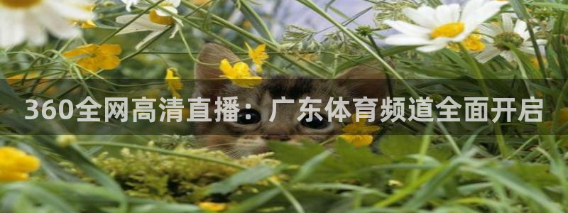 360全网高清直播：广东体育频道全面开启