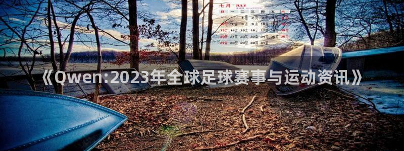 《Qwen:2023年全球足球赛事与运动资讯》