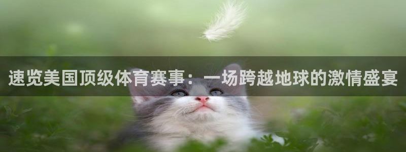 速览美国顶级体育赛事：一场跨越地球的激情盛宴