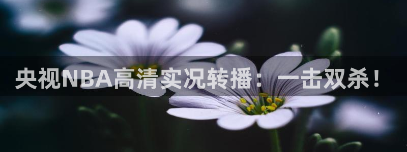 央视NBA高清实况转播：一击双杀！
