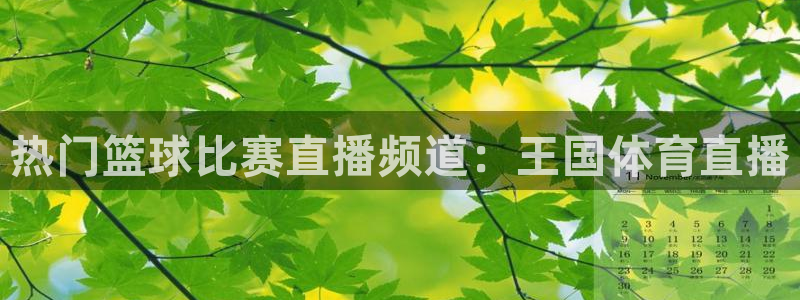 热门篮球比赛直播频道：王国体育直播
