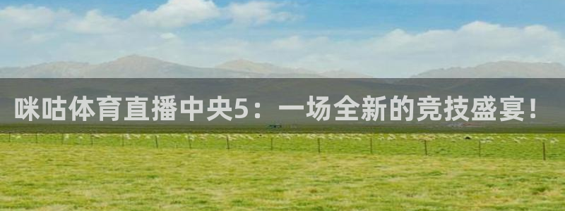 咪咕体育直播中央5：一场全新的竞技盛宴！