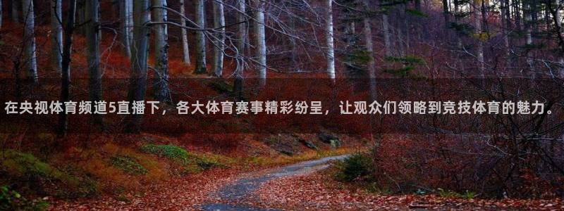 在央视体育频道5直播下，各大体育赛事精彩纷呈，让观众们领略到竞技体育的魅力。