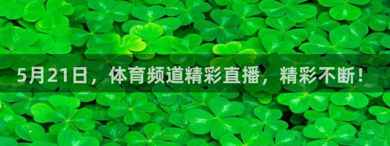 5月21日，体育频道精彩直播，精彩不断！