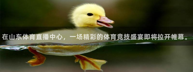 在山东体育直播中心，一场精彩的体育竞技盛宴即将拉开帷幕。