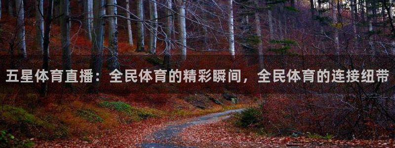 五星体育直播：全民体育的精彩瞬间，全民体育的连接纽带