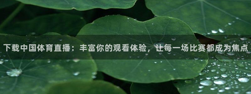 下载中国体育直播：丰富你的观看体验，让每一场比赛都成为焦点