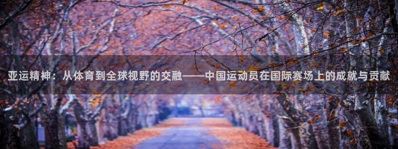 亚运精神：从体育到全球视野的交融——中国运动员在国际赛场上的成就与贡献