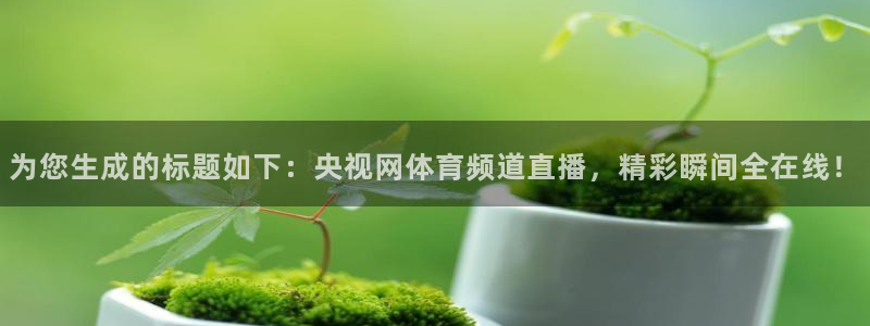 为您生成的标题如下：央视网体育频道直播，精彩瞬间全在线！