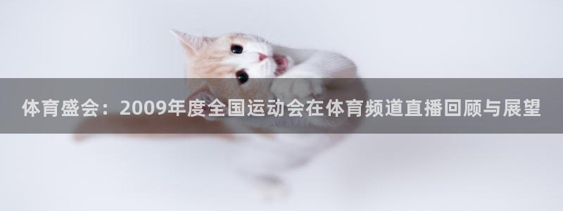 体育盛会：2009年度全国运动会在体育频道直播回顾与展望