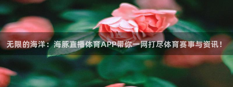 无限的海洋：海豚直播体育APP带你一网打尽体育赛事与资讯！