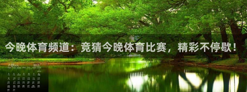 今晚体育频道：竞猜今晚体育比赛，精彩不停歇！