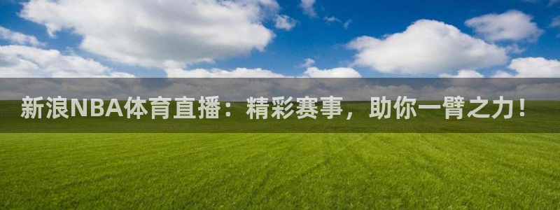 新浪NBA体育直播：精彩赛事，助你一臂之力！