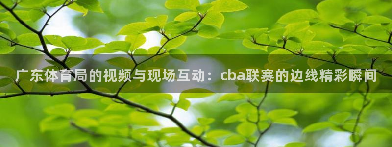 广东体育局的视频与现场互动：cba联赛的边线精彩瞬间