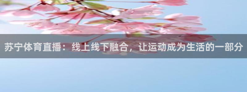 苏宁体育直播：线上线下融合，让运动成为生活的一部分