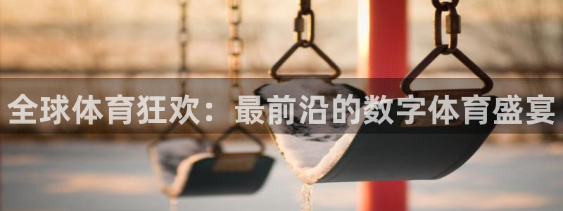 全球体育狂欢：最前沿的数字体育盛宴