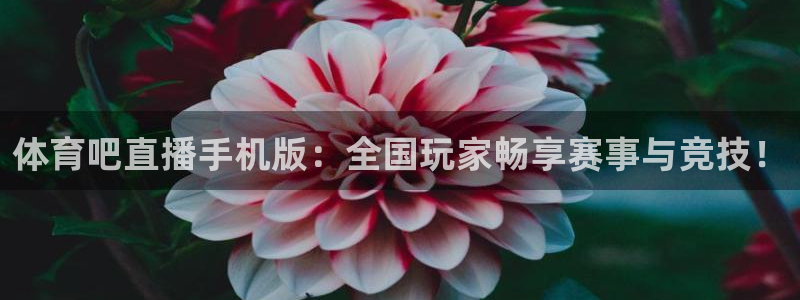 体育吧直播手机版：全国玩家畅享赛事与竞技！