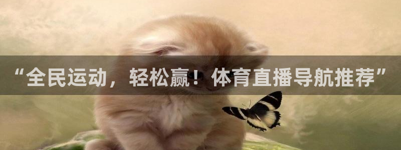“全民运动，轻松赢！体育直播导航推荐”