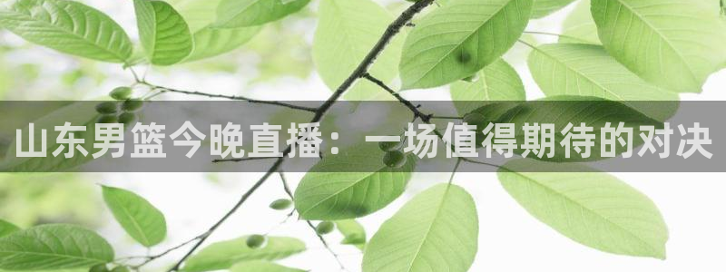 山东男篮今晚直播：一场值得期待的对决