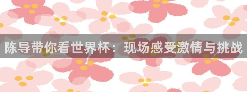 陈导带你看世界杯：现场感受激情与挑战
