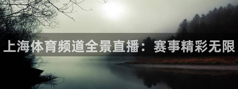 上海体育频道全景直播：赛事精彩无限