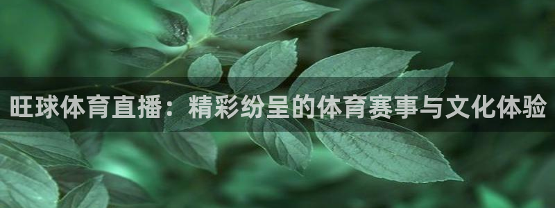 旺球体育直播：精彩纷呈的体育赛事与文化体验