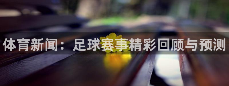体育新闻：足球赛事精彩回顾与预测