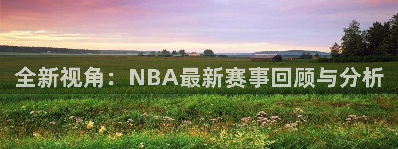 全新视角：NBA最新赛事回顾与分析