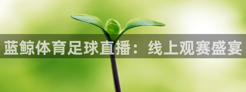 蓝鲸体育足球直播：线上观赛盛宴