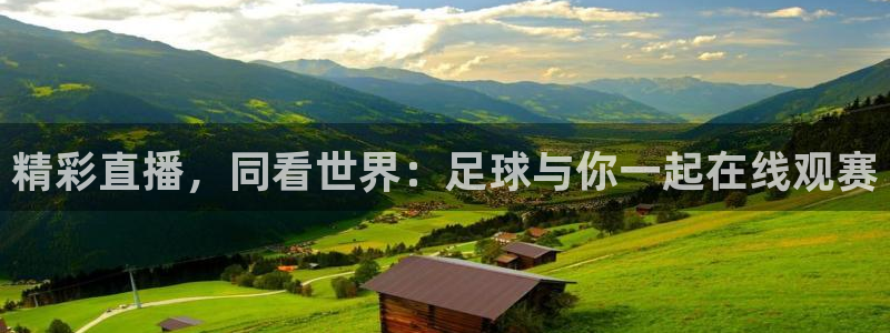 精彩直播，同看世界：足球与你一起在线观赛