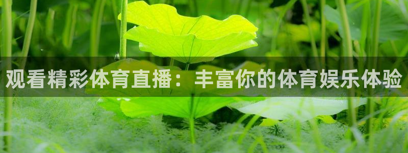 观看精彩体育直播：丰富你的体育娱乐体验